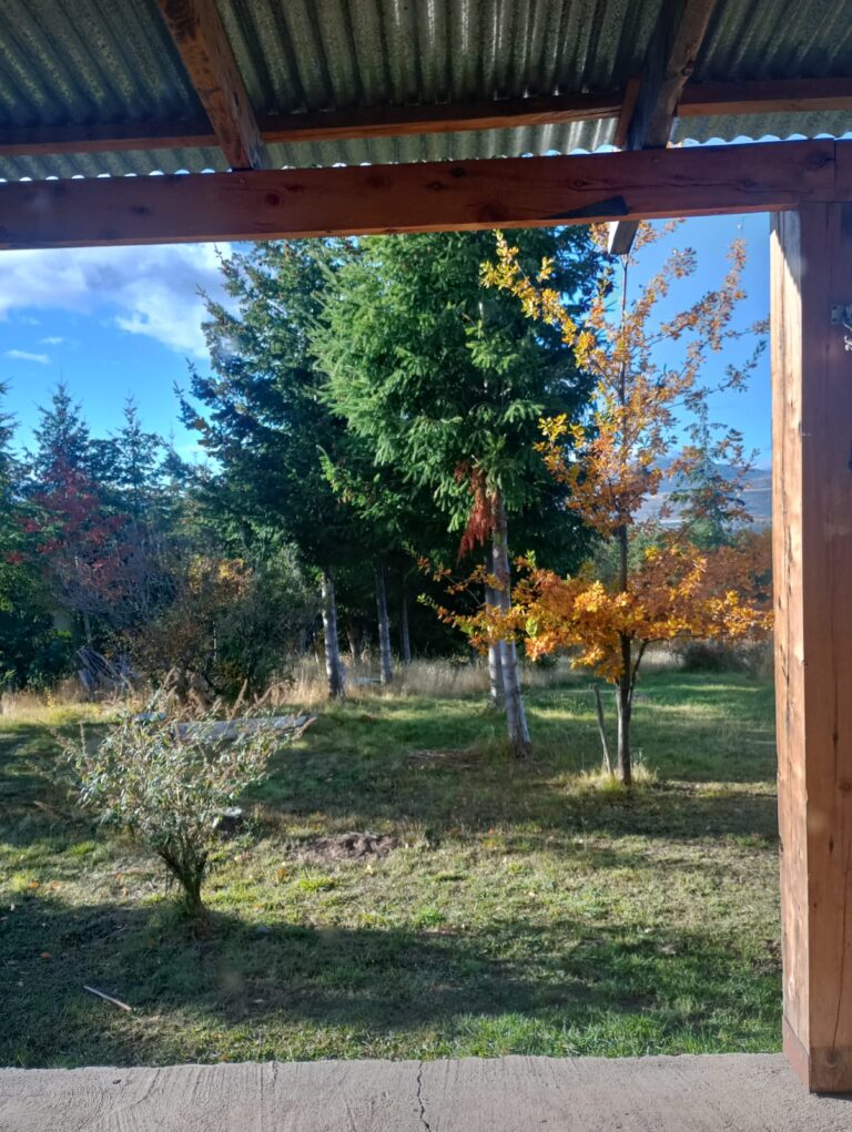 WhatsApp Image 2026-02-27 at 18.20.52 (3)