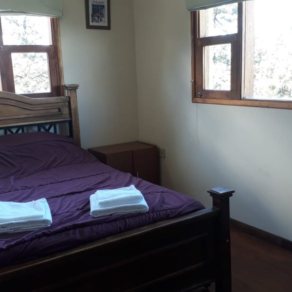 WhatsApp Image 2026-02-27 at 18.20.52