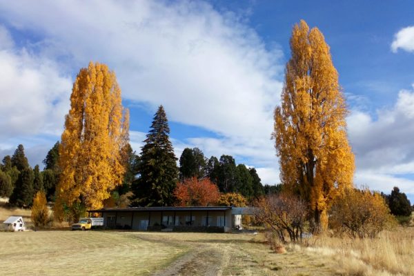 f06ee691-a288-451d-94ae-51ee482e043b